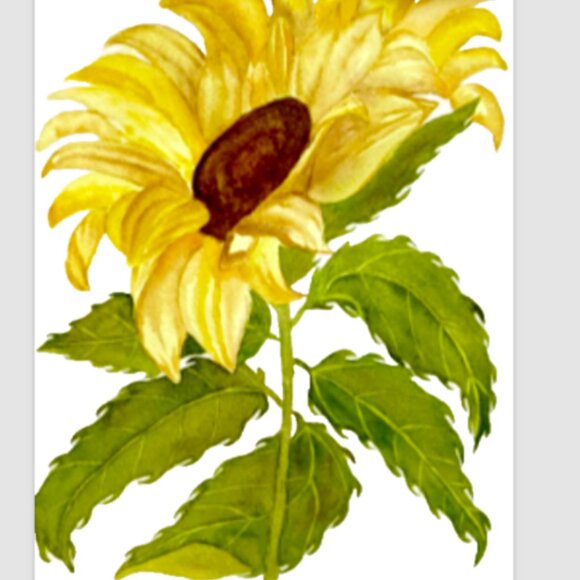PAINTING WATERCOLOR ORIGINAL ART SUNFLOWER YELLOW FLOWER 10...
